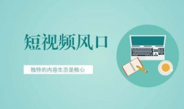 短视频内容机构,揭秘短视频制作与传播的奥秘