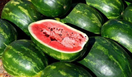 爆料中国吃瓜图片大全高清,高清图片大全背后的社会现象