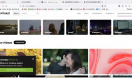 好看的短视频素材,捕捉生活精彩瞬间，尽在这精选素材集锦