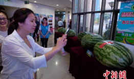 澧县吃瓜最新事件爆料新闻,揭秘当地最新热点舆情动态