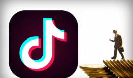 最红网络短视频,短视频热潮下的网络文化现象解析