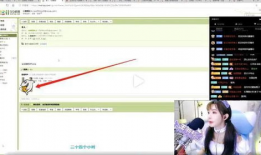 91黄色直播间云上花,91黄色直播间里的别样风情