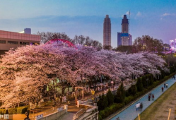 抖音吃瓜爆料最新入口,揭秘最新热门事件入口！”