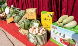 淮北爆料吃瓜事件是真的吗,真相揭秘还是网络谣言？