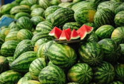 海南吃瓜爆料事件真相,揭秘背后真相与争议