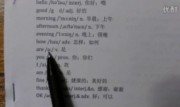 英语短视频初中,Engaging English Video Summary for Junior High Students