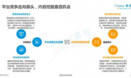 短视频市场细分,洞察多元趋势与消费需求