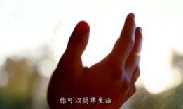 暖心的短视频,短视频中的感人故事