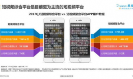 短视频市场细分,洞察多元趋势与消费需求