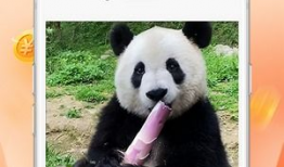 看一看短视频,一看就上瘾的“看一看”魅力解析