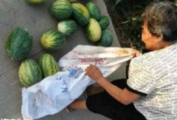 吃瓜最新事件爆料兰陵,吃瓜群众揭秘最新事件内幕