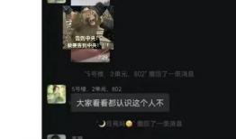 吃瓜爆料山东曹县视频,揭秘当地风俗与文化