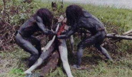 最新恐怖吃瓜爆料新闻视频,最新恐怖吃瓜爆料视频曝光，真相令人胆寒！