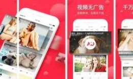 亚洲 在线 短视频,在线潮流的璀璨星河