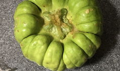 四川凉山爆料吃瓜,揭秘背后真相与争议