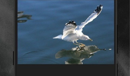 短视频特效,瞬间点亮创意火花，打造视觉盛宴